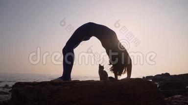 穿着紧身衣的年轻女子在令人惊叹的<strong>日</strong>出时与猫一起在海面上的海滩上练习<strong>瑜伽</strong>。 <strong>健身</strong>、运动、<strong>瑜伽</strong>